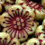 Flower Beads 18mm