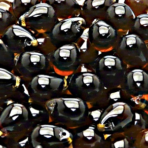 10pcs Czech Pressed Glass Teardrop Beads 10x14mm Smoked Topaz