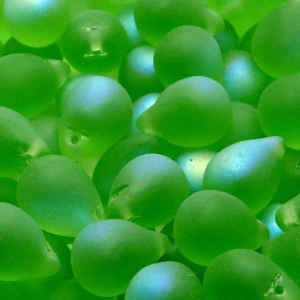 10pcs Czech Pressed Glass Teardrop Beads 10x14mm Light Chrysolite AB Matte