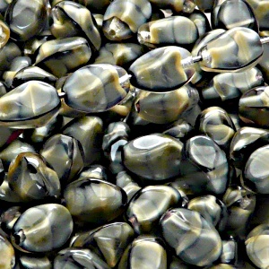 20pcs Czech Pressed Glass Twisted Bicone Lantern Beads 11x8mm Beige Jet Striped Moonlight (26107)